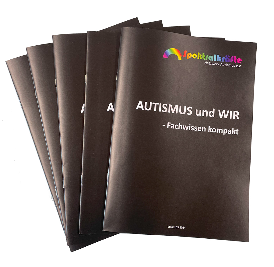 Broschüre im DIN A4 Format Titelseite