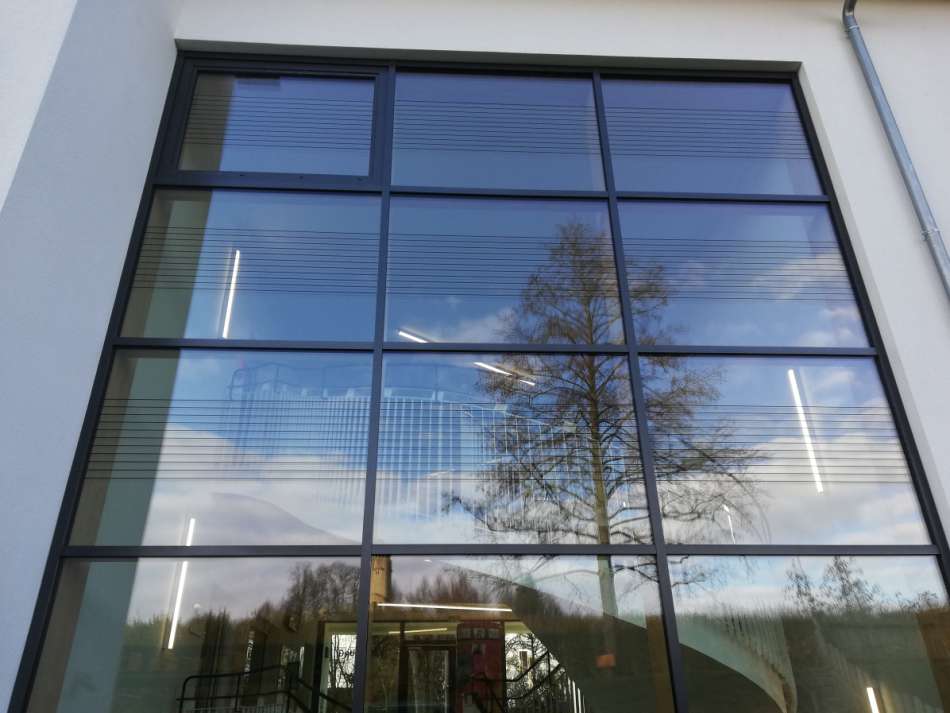 Vogelschutz Folierung in Streifenoptik auf Glasfassade
